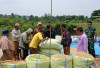 Data dari Petani