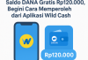 Saldo DANA Gratis Rp120.000, Begini Cara Memperoleh dari Aplikasi Wild Cash