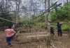 Polsek Tebing Tinggi Tertibkan Dugaan Arena Sabung Ayam, Wujud Nyata Menjaga Kamtibmas Desa