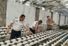 Lapas Empat Lawang Sulap Lahan Kosong Jadi Kebun Produktif, Warga Binaan Budidaya Melon dan Hidroponik