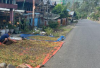 Harga Biji Kopi Empat Lawang Menguat, Sentuh Rp 47 Ribu per Kilogram