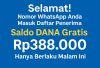 Nomor WhatsApp Anda Masuk Daftar Penerima Saldo DANA Gratis Rp388.000, Ini Cara Resminya