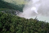 Mengenal Gunung Patah : Jalur Pendakian Ekstrem dan Habitat Tumbuhan Langka di Bengkulu!