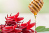 Tanaman Obat Rosela dan Madu, Perisai Alami untuk Jantung dan Pengatur Tekanan Darah Optimal