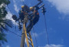 PLN Unit Layanan Pelanggan (ULP) Muara Dua Intensifkan Pemeliharaan Jaringan