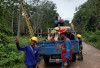 PLN ULP Kayu Agung Tingkatkan Keandalan Listrik di Tulung Selapan Lewat Uprating Penyulang Tenggiri
