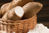 Singkong Tanaman Obat Alternatif Gluten-Free dengan Serat Tinggi untuk Energi Optimal dan Pencernaan Sehat