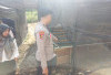 Polres Empat Lawang Dukung Program Ketahanan Pangan Melalui Pendampingan di Tingkat Desa