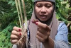 Khasiat Tanaman Obat Batang Serai Campur Bawang Merah Bikin Si Anu Pria Berdiri Tegak
