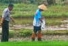 Lapas Kelas IIB Kembangkan Program Pertanian untuk Warga Binaan