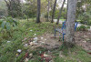 Sampah Berserakan di Taman Kolam 