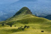 Gunung Merbabu, Destinasi Favorit Bagi Para Pendaki