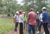 Menggenggam Masa Depan Wisata Lahat lewat Keanggunan Taman Ribang Kemambang