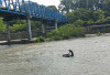 Perjuangan Penambang Pasir Melawan Derasnya Arus Sungai Lematang