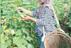 Dari Pekarangan Sempit ke Panen Melimpah, Kisah Linda Menyulam Ketahanan Pangan dari Rumah