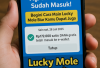 Saldo DANA Gratis Rp172.000 Sudah Masuk! Begini Cara Main Lucky Mole Biar Kamu Dapat Juga