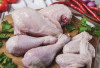 Ini Dia Manfaat Daging Ayam Untuk Kesehatan, Sangat Cocok Untuk Yang Sedang Diet