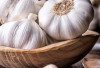 Tanaman Obat Bawang Putih! Antibiotik Alami dengan Kekuatan Mengagumkan