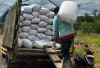 Bulog Lahat Serap 800 Ton Gabah Kering Panen dari Petani