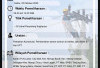 Perbaikan konstruksi dan pembersihan jaringan listrik & HAR UPT TD 1 GI Lahat Pukul 09:00 Wib s/d Selesai