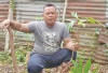 Timbul Sulap Pekarangan Jadi Lumbung Pangan
